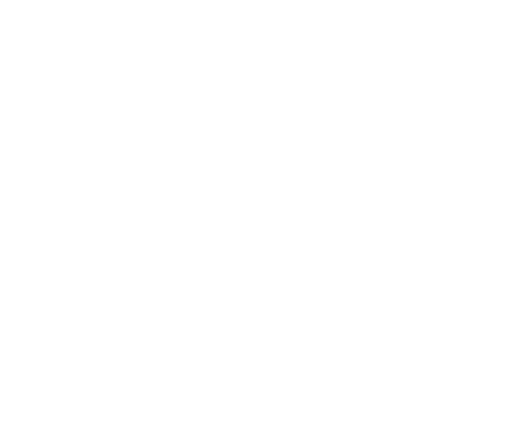 The Grilling Bastards